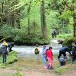 La rivière - Classe découverte Montagnes du Jura