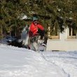 Activité Chiens de traîneaux Montagnes du Jura