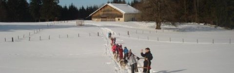 Classe Neige : Hiver dans les Montagnes du Jura